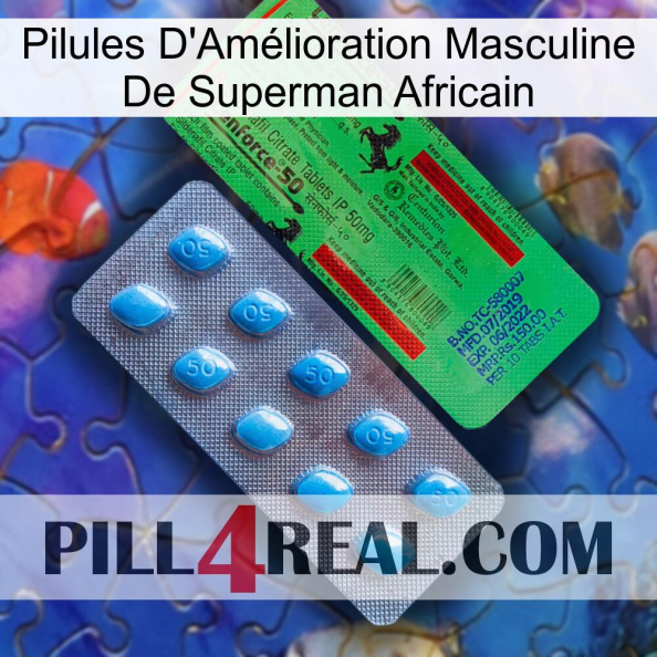 African Superman Male Enhancement Pills new03.jpg